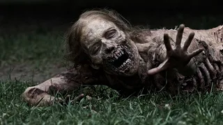 "Summer of the zombies" (zomedy)explained in Hindi..