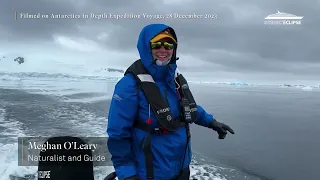 Scenic Eclipse Antarctica in Depth Voyage Video  28 December 2023