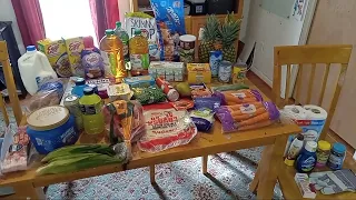 NEW WALMART GROCERY HAUL | FAMILY OF FOUR GROCERIES SUMMER TIME | 150$ | week 34