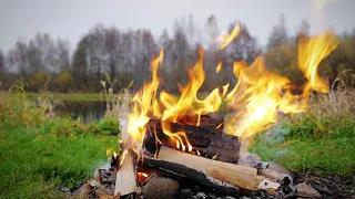 Расслабляющее видео Футаж Костер у Реки Природа Релакс Forest Fire Nature Relaxation