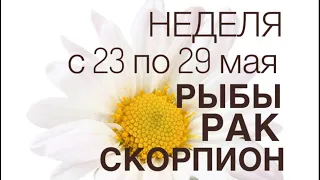 Таро прогноз на неделю с 23 по 29 мая #рыбы #рак #скорпион