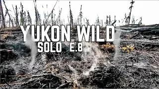 14 Days Solo Camping in the Yukon Wilderness - E.8 - Wolf Calls & Forest Fires