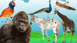 Wild animals name and sound Lion, Tiger, Sheep, Rhino, Horse, Elephant, Bull, Rat, Chick, Turtle