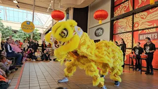 Lunar New Year Celebration at Hershey Chocolate World February 4, 2024