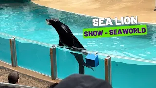 Sea Lion (FULL SHOW) - SeaWorld Orlando