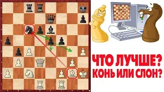 КАК ИГРАТЬ КОГДА У НАС СЛОН, А У ПРОТИВНИКА КОНЬ? ПЛЮСЫ И МИНУСЫ СЛОНА И КОНЯ В МИТТЕЛЬШПИЛЕ