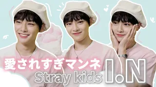 【母性爆発】かわいすぎて地位も名誉も手に入れたマンネの私生活🦊 straykids/スキズ/アイエン/日本語字幕