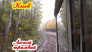 Лесной трамвай | Киев | Линия в Пущу-Водицу | Kyiv tram in forest | Link 12