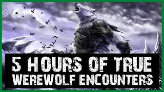 5+ HOURS OF TRUE SCARY WEREWOLF ENCOUNTER HORROR STORIES