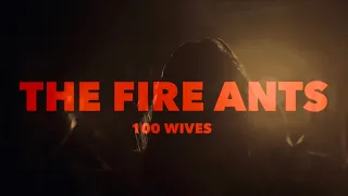 The Fire Ants - 100 Wives (Official Video)