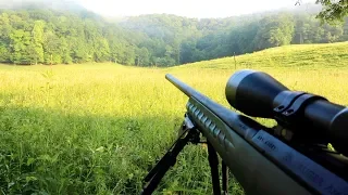 Summertime Coyote Hunting