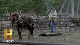 Mountain Men: EXPERT Horse Training with Eustace (Season 12)