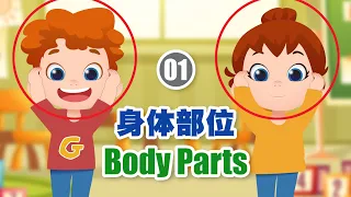 身体部位 (01) | 中英文 | 快乐学习 | Body Parts (01) | Chinese & English | Happy Learning