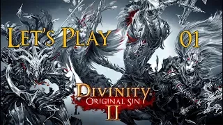Divinity: Original Sin II - Solo Playthrough Part 1: Act 2 Begins!
