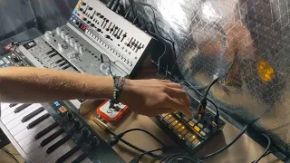 Synth jam #31 // Td-3 // Jx-08 // Volca Beats // Keystep 37