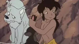 The Jungle Book Hindi Episode 10   An Old Wolf Visit 360P || Mowgli classic cartoon full in hindi