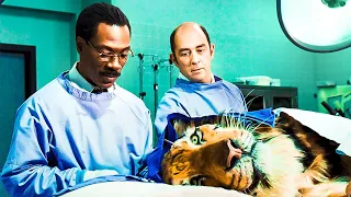 Doctor Can Talk To Animals, But He Is Sent To A Psychiatric Hospital