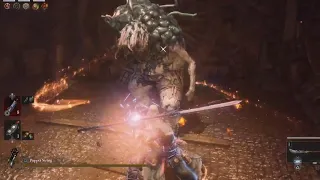 Lies of P - Wo Long Style - No Damage First Carcass Mini Boss vs Azure Dragon Crescent Glaive ng+10