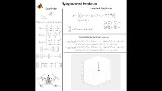 Flying Inverted Pendulum