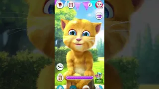 Ginger Cat Talking Tom #funny game 🍇🍈🍉🍔 #talkingtom #gameplay #viralvideo #video #cat videos #shorts