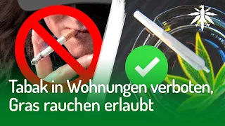 Tabak in Wohnungen verboten, Gras rauchen erlaubt | DHV-News #274