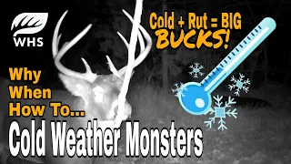 How To Hunt Cold Weather Bucks