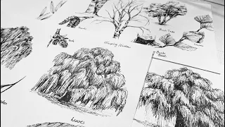 How to DRAW TREES | PART TWO weeping Willow and Birch