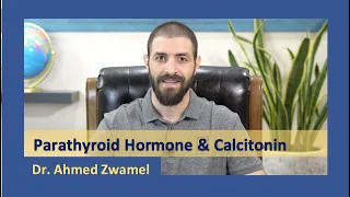 Endocrinology | Parathyroid hormone and Calcitonin | Dr. Ahmed Zwamel