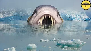 Terror Bajo las Aguas de Alaska.