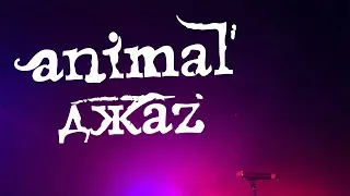 Animal ДжаZ — 2010 (Live at А-КЛУБ СМОЛЕНСК)