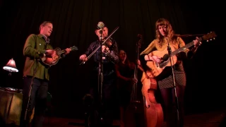 Foghorn Stringband 2017-01-13