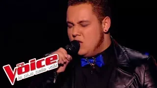 Daniel Balavoine – Quand on arrive en ville | Guillaume Etheve | The Voice 2015 | Épreuve ultime