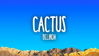 Belinda - Cactus