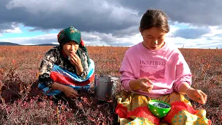 Life In Tundra in FAR NORTH. How people live in Russia & Yamal. Nomads Nenets