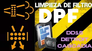 Como apagar la luz del DPF, limpieza del filtro de partículas, camión DD15 detroit Frailhliner