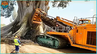 45 AMAZING Dangerous Monster Stump Removal Excavator