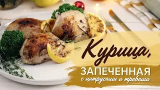 Курица, запеченная с цитрусами и травами [Рецепты Bon Appetit]