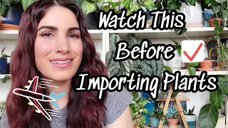 What You Need To Know Before Importing Plants From Another Counrty ✈️🌿