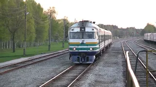 Дизель-поезд ДР1А-252 на ст. Тюри / DR1A-252 DMU at Türi station