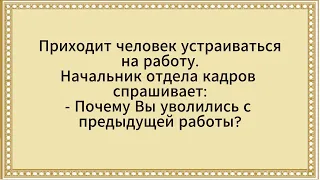 Почему Вы Уволились с Предыдущей Работы? Сборник анекдотов. Юмор.