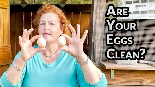 Are your eggs clean? How to treat parasites and worms in your chickens.