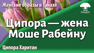 Урок для женщин. Ципора — жена Моше Рабейну. Ципора Харитан