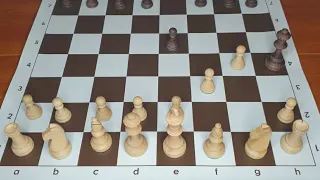 Шахматы для начинающих. Самый быстрый мат в шахматах