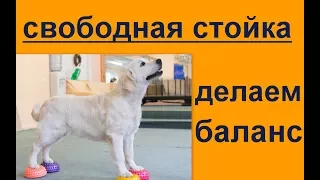 Свободная стойка делаем баланс  уроки ринговой подготовки хендлинга