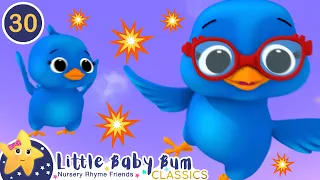 2 Little Dicky Birds | Little Baby Bum Animal Club | Fun Songs for Kids