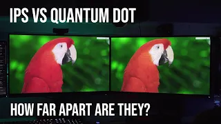 IPS vs Quantum Dot. How different are they?