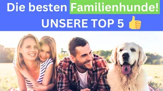 Familienhunde? 🐶 Unsere TOP 5 Hunderassen für Kinder & Familie