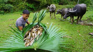 Survival instinct 30 Days Forest Life, Wild Alone Living Off Grid Make Shelter To Find Food Cooking