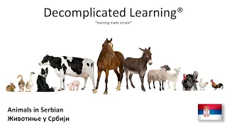 Learn Animals in Serbian