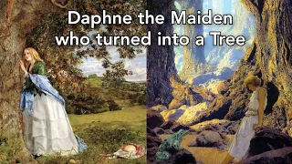 Daphne the Maiden who turned into a Tree  🌿🌿🌿